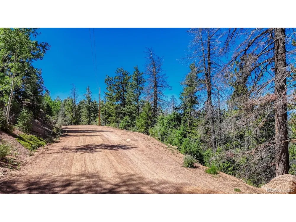 3454 Mountain Estates Road Florissant, CO 80816