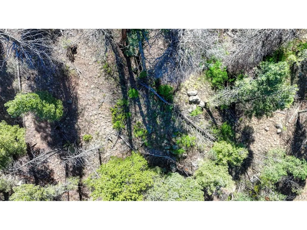 3454 Mountain Estates Road Florissant, CO 80816