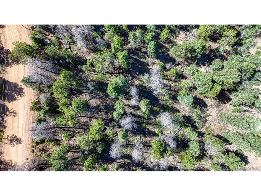 3454 Mountain Estates Road Florissant, CO 80816