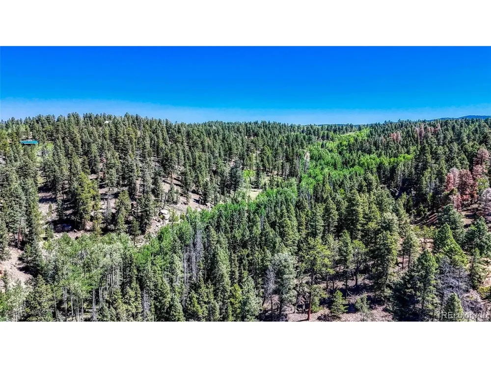 3454 Mountain Estates Road Florissant, CO 80816