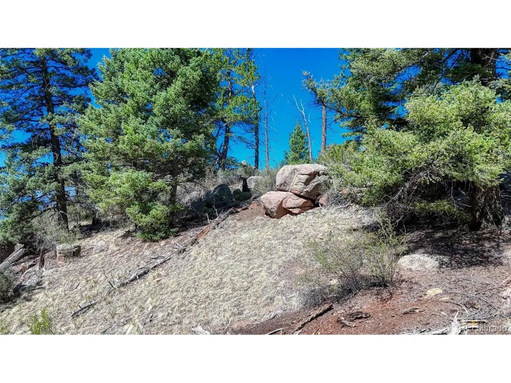 3454 Mountain Estates Road Florissant, CO 80816
