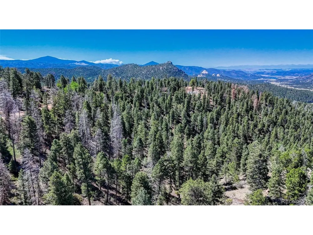 3454 Mountain Estates Road Florissant, CO 80816