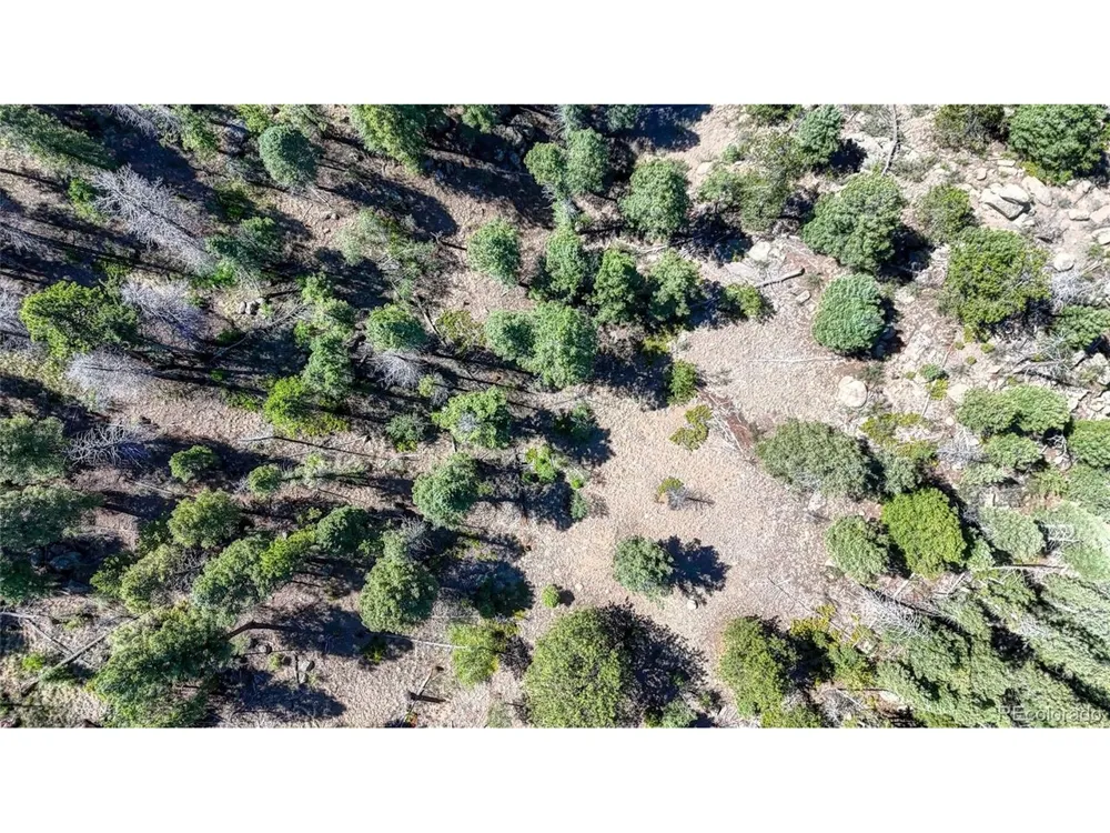 3454 Mountain Estates Road Florissant, CO 80816