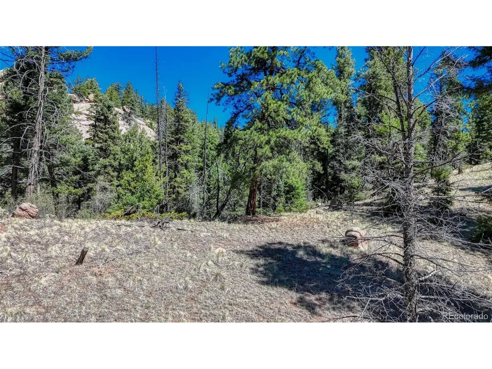 3454 Mountain Estates Road Florissant, CO 80816