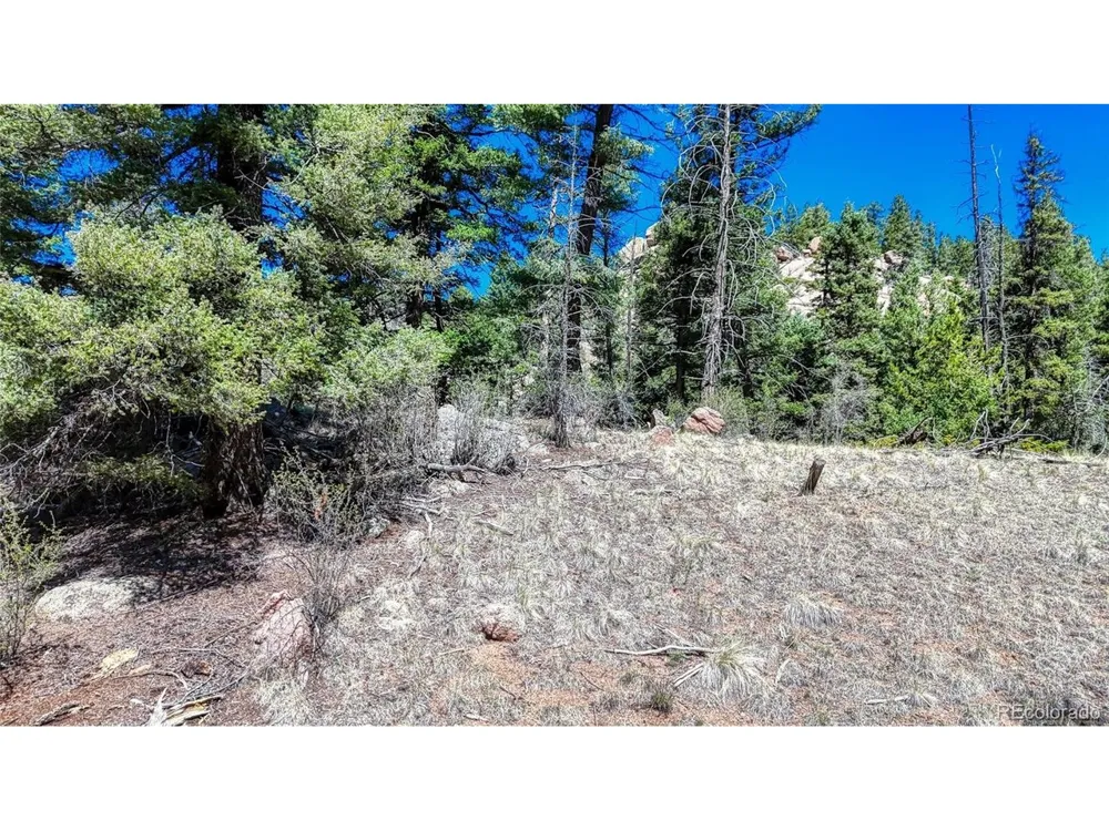 3454 Mountain Estates Road Florissant, CO 80816
