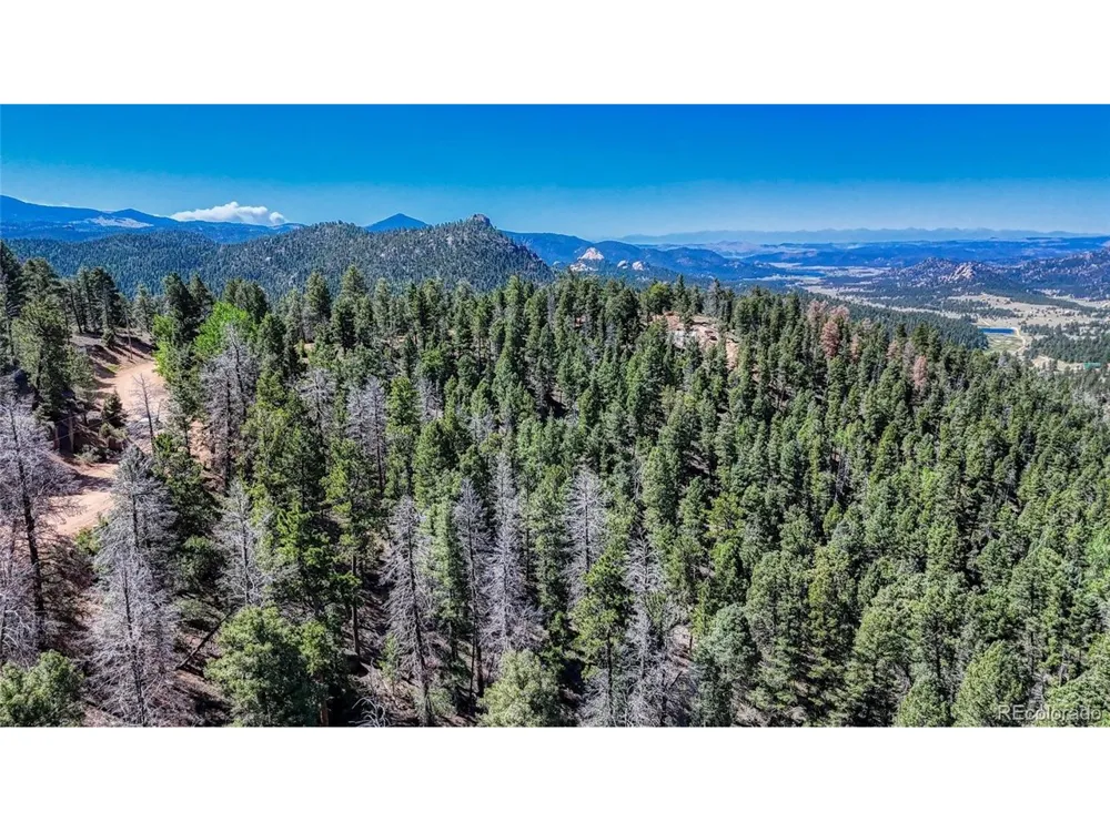 3454 Mountain Estates Road Florissant, CO 80816