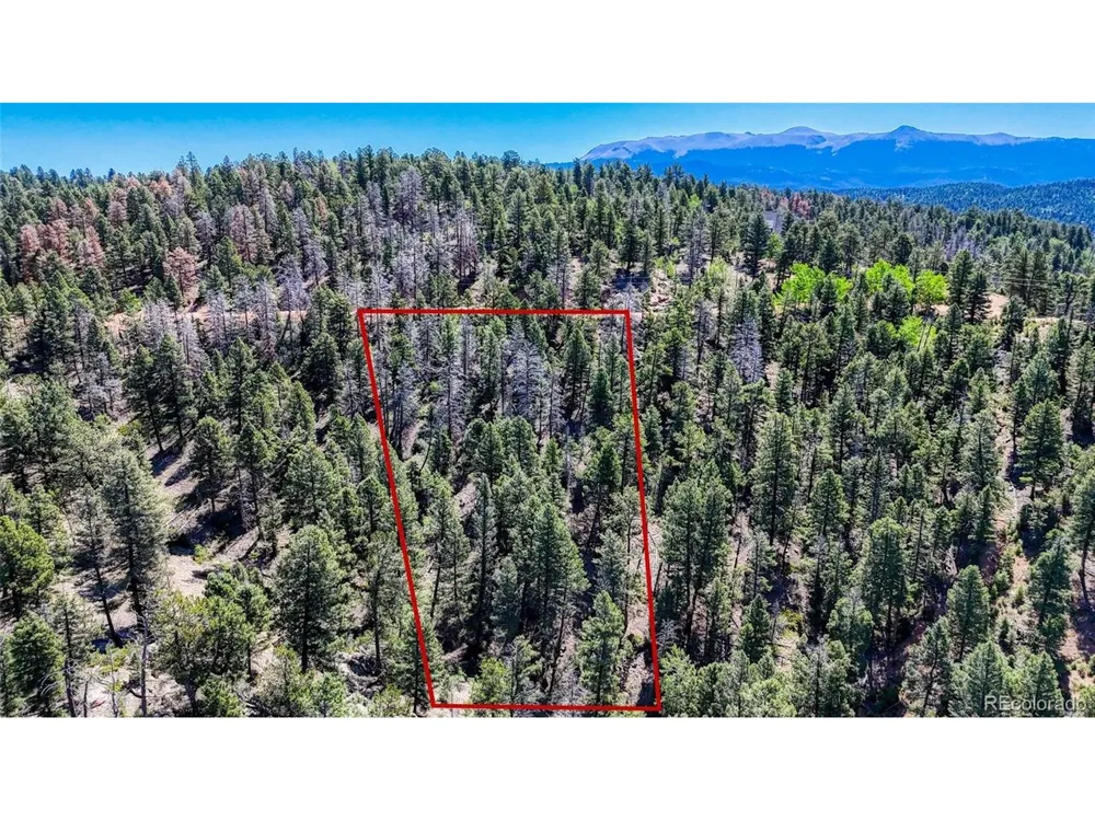 3454 Mountain Estates Road Florissant, CO 80816