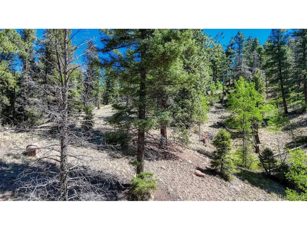 3454 Mountain Estates Road Florissant, CO 80816