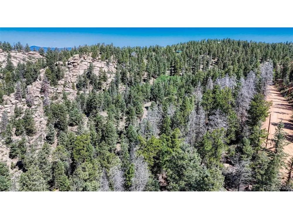3454 Mountain Estates Road Florissant, CO 80816