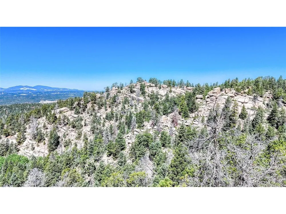3454 Mountain Estates Road Florissant, CO 80816