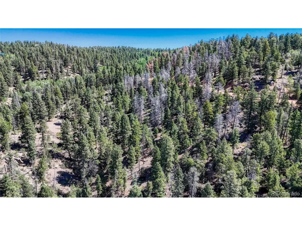 3454 Mountain Estates Road Florissant, CO 80816