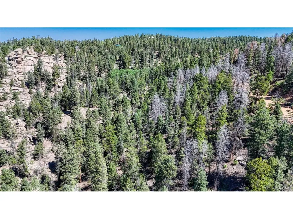 3454 Mountain Estates Road Florissant, CO 80816