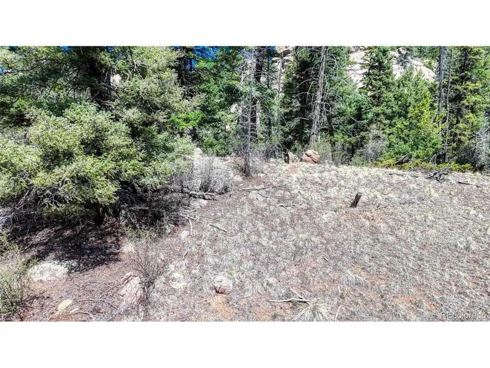 3454 Mountain Estates Road Florissant, CO 80816