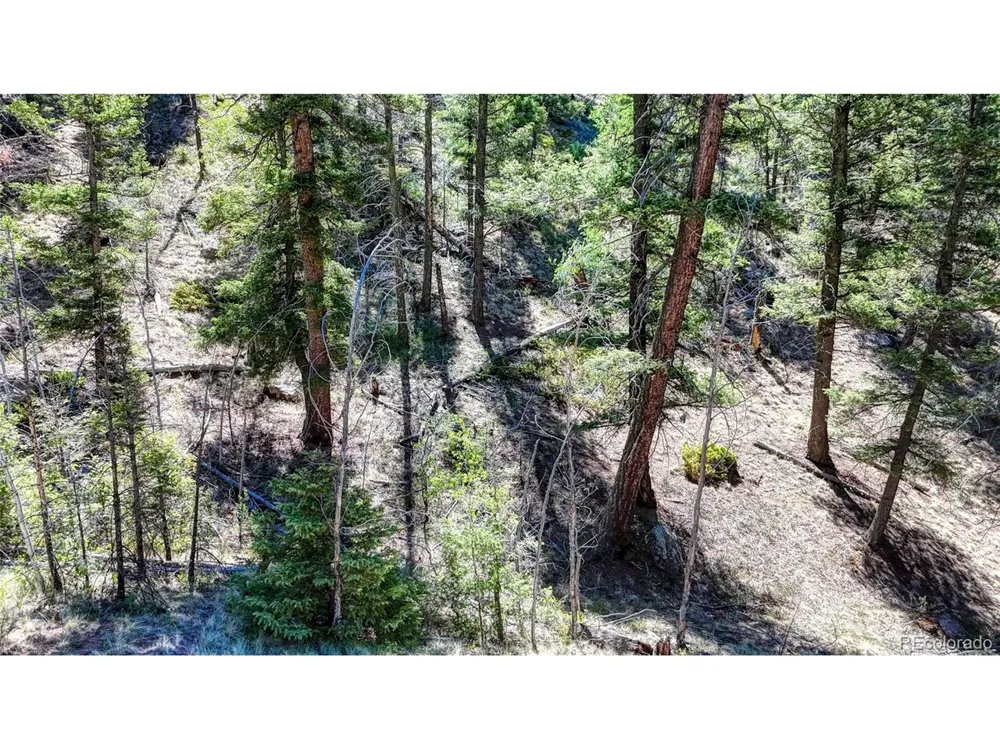 3454 Mountain Estates Road Florissant, CO 80816