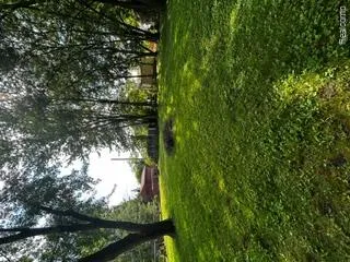 39751 Sylvia Street Harrison Charter Township, MI 48045