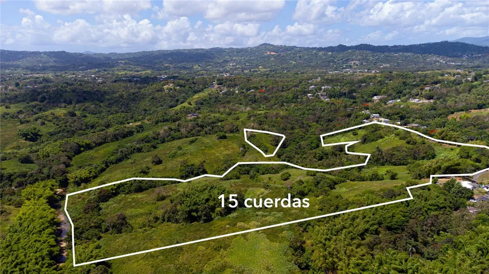 BO. VALENCIANO Juncos, PR 00777
