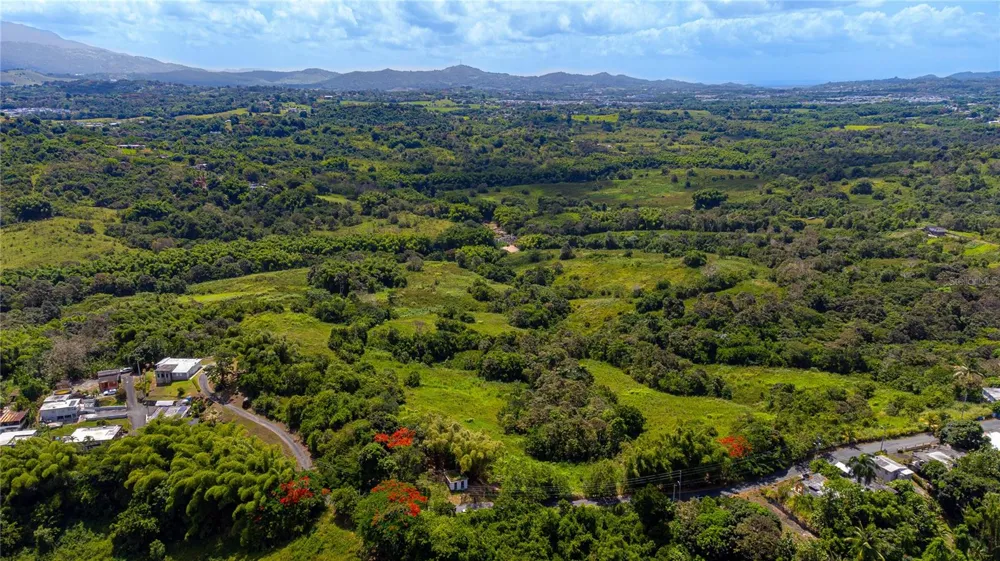 BO. VALENCIANO Juncos, PR 00777