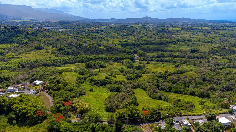 BO. VALENCIANO Juncos, PR 00777