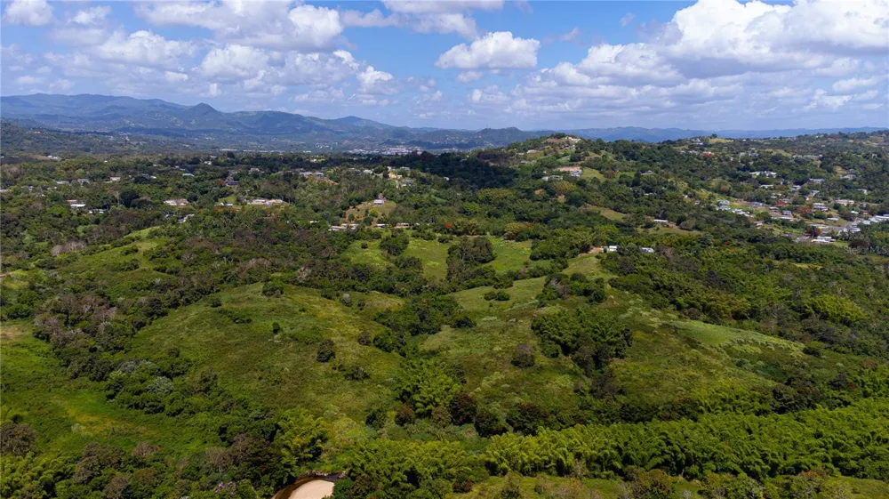BO. VALENCIANO Juncos, PR 00777