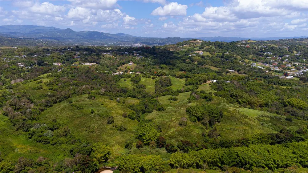 BO. VALENCIANO Juncos, PR 00777