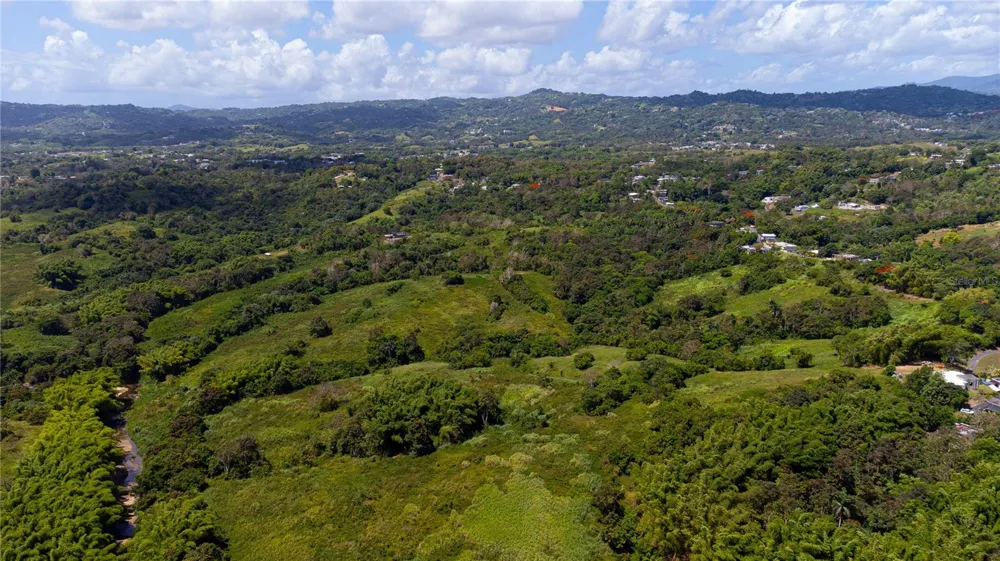 BO. VALENCIANO Juncos, PR 00777