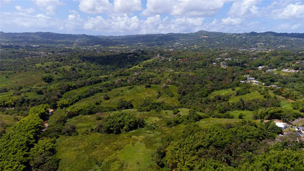 BO. VALENCIANO Juncos, PR 00777