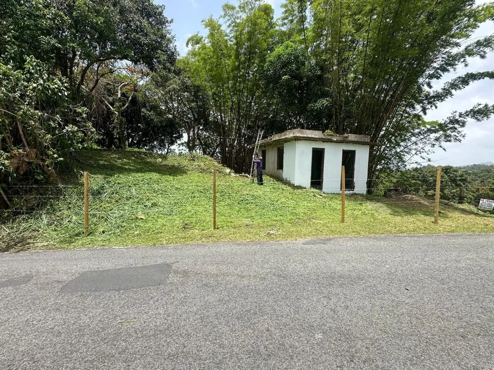 BO. VALENCIANO Juncos, PR 00777