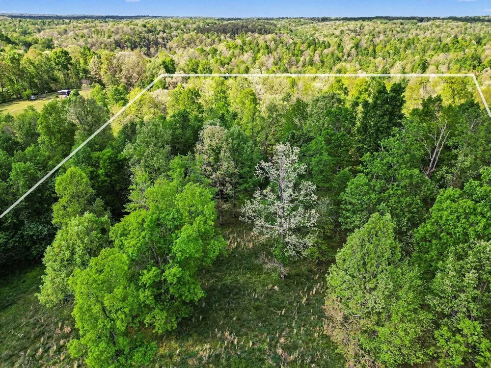 7850 W Lick Creek Rd Primm Springs, TN 38476