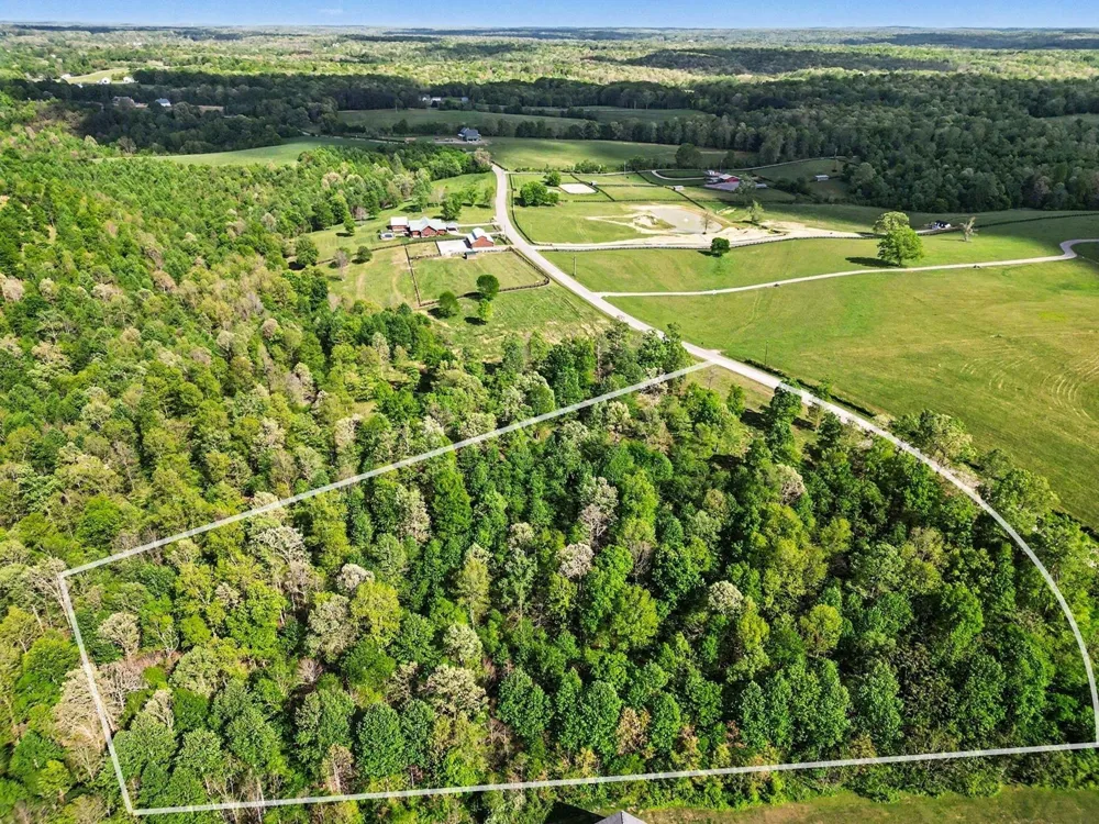 7850 W Lick Creek Rd Primm Springs, TN 38476