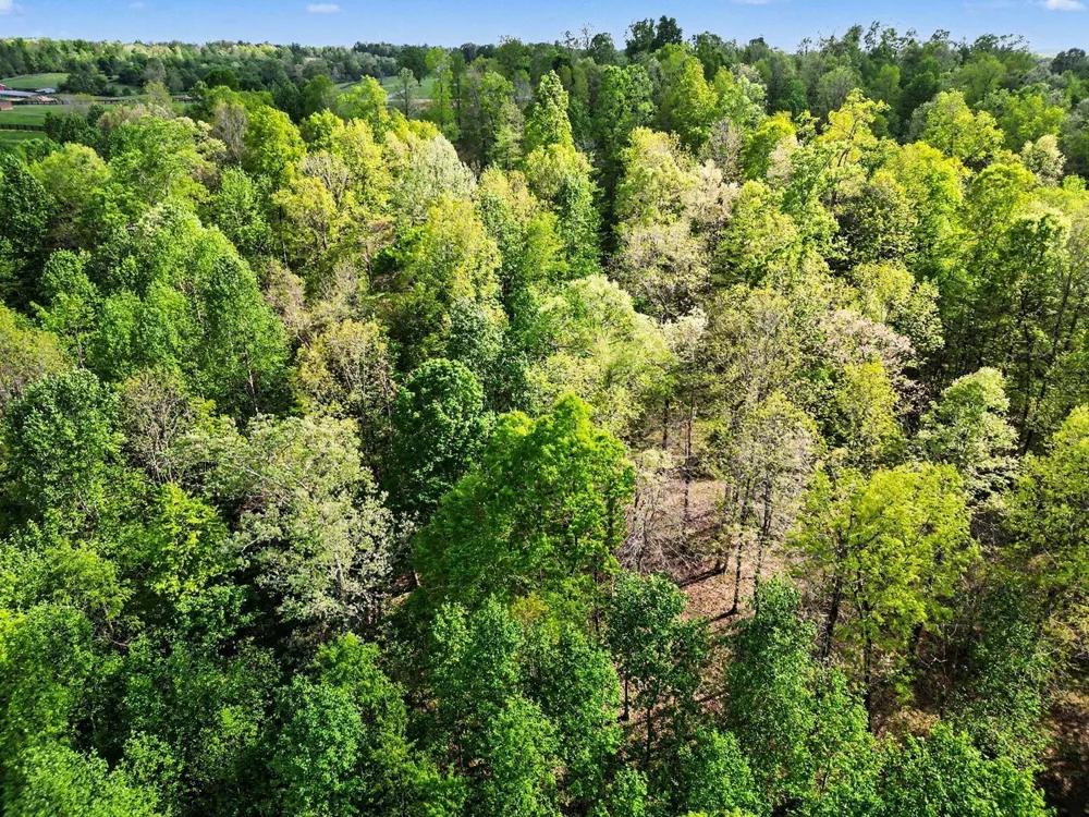 7850 W Lick Creek Rd Primm Springs, TN 38476