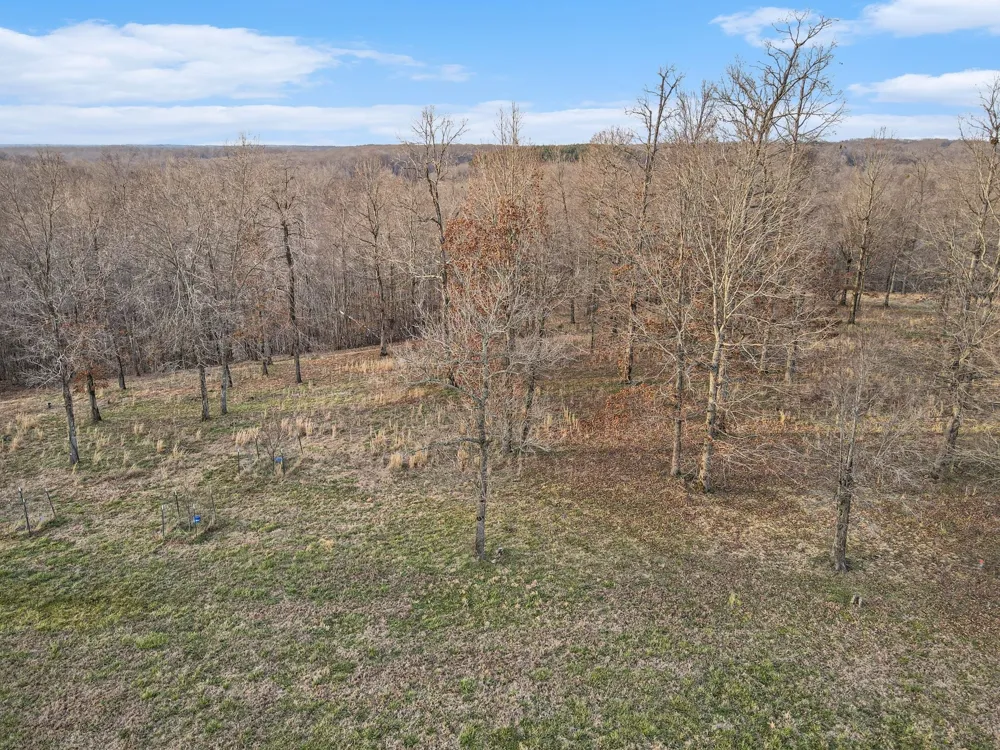 7850 W Lick Creek Rd Primm Springs, TN 38476