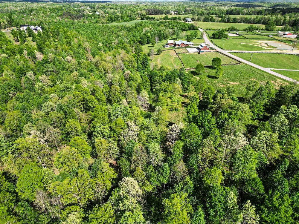 7850 W Lick Creek Rd Primm Springs, TN 38476