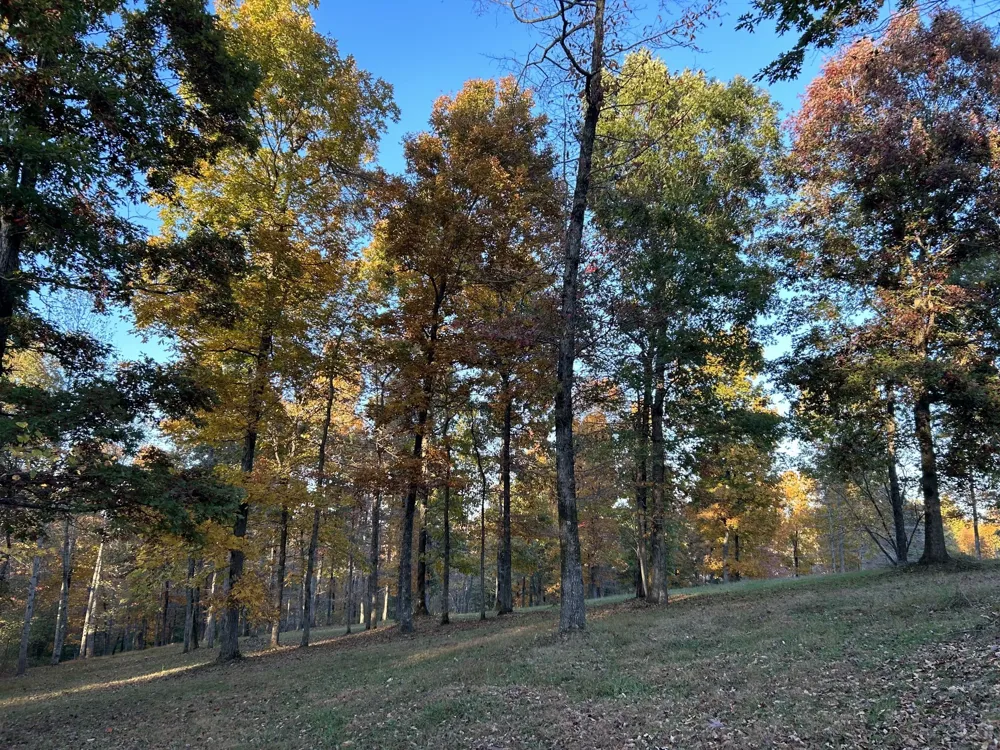 7850 W Lick Creek Rd Primm Springs, TN 38476