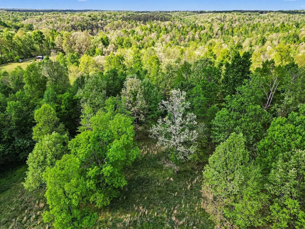 7850 W Lick Creek Rd Primm Springs, TN 38476