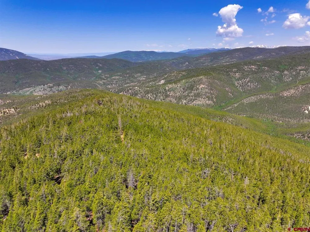 White Pine Upper Tomichi Gunnison, CO 81230