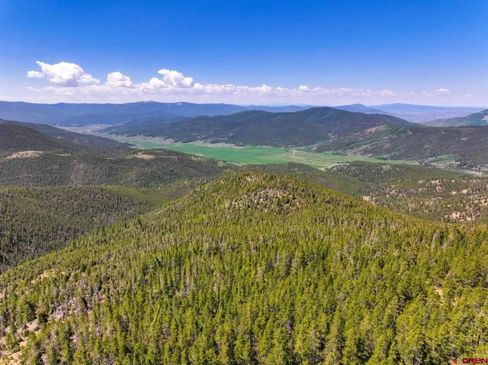 White Pine Upper Tomichi Gunnison, CO 81230