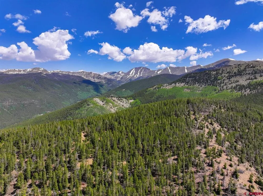 White Pine Upper Tomichi Gunnison, CO 81230