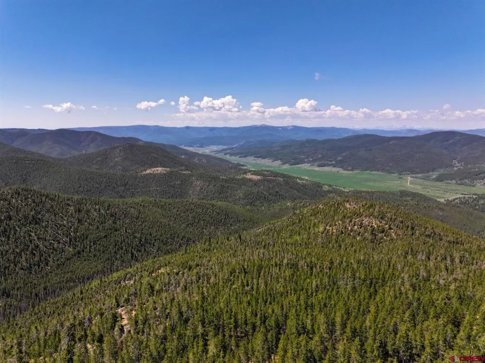 White Pine Upper Tomichi Gunnison, CO 81230