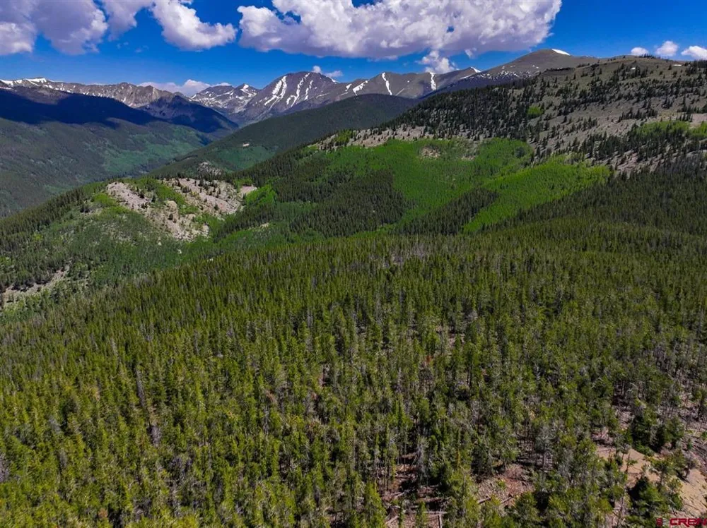 White Pine Upper Tomichi Gunnison, CO 81230
