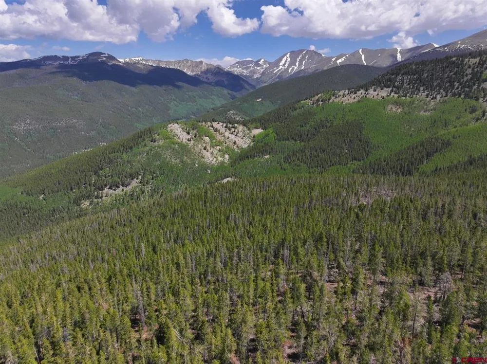 White Pine Upper Tomichi Gunnison, CO 81230
