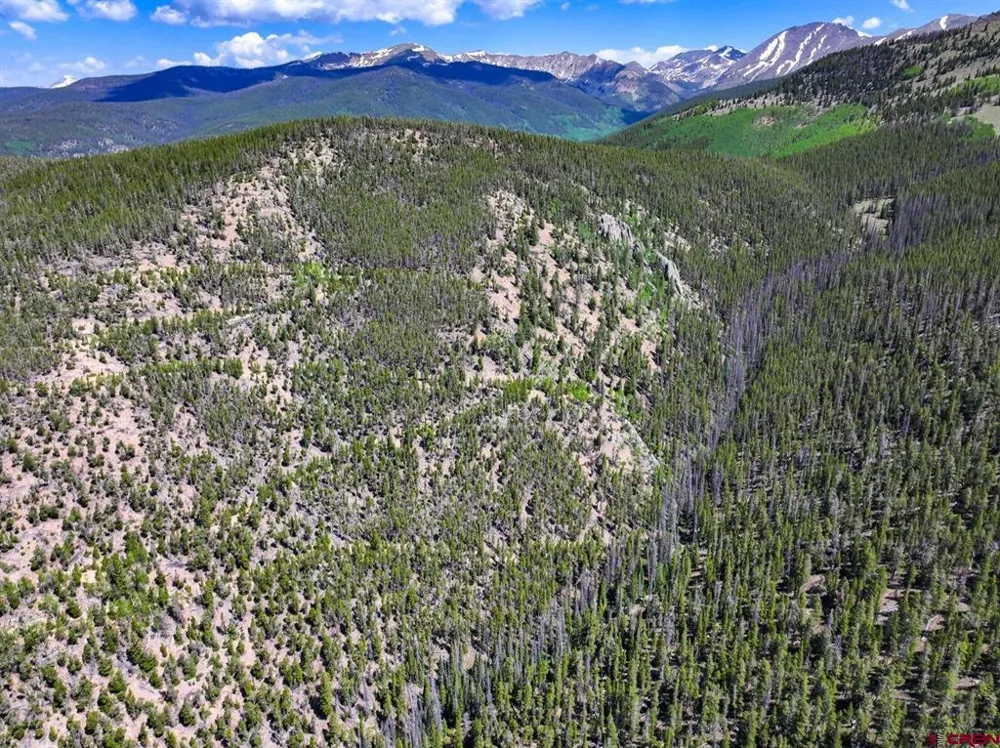 White Pine Upper Tomichi Gunnison, CO 81230