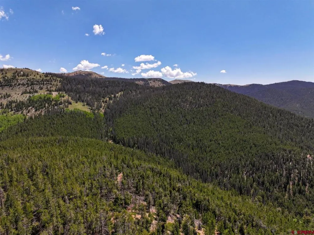 White Pine Upper Tomichi Gunnison, CO 81230