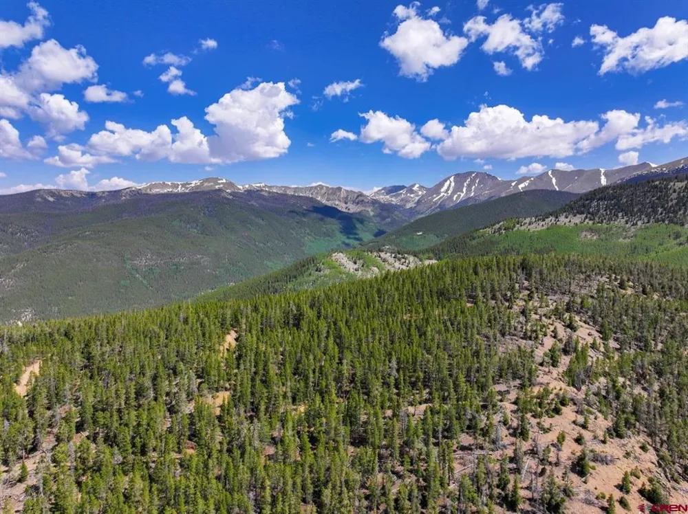 White Pine Upper Tomichi Gunnison, CO 81230