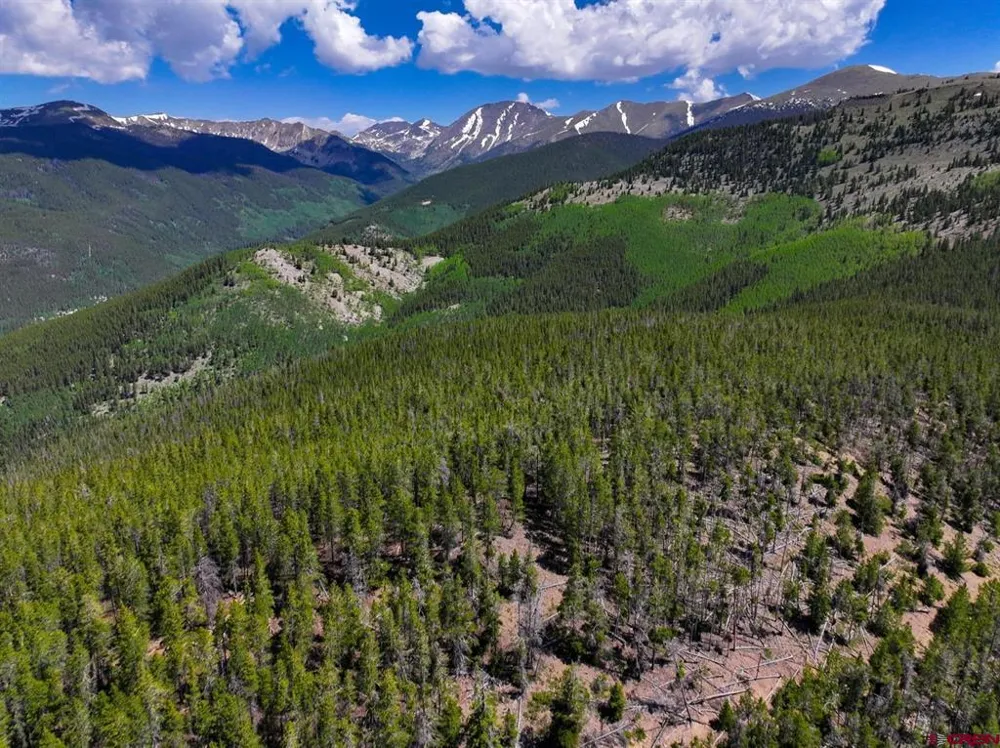 White Pine Upper Tomichi Gunnison, CO 81230