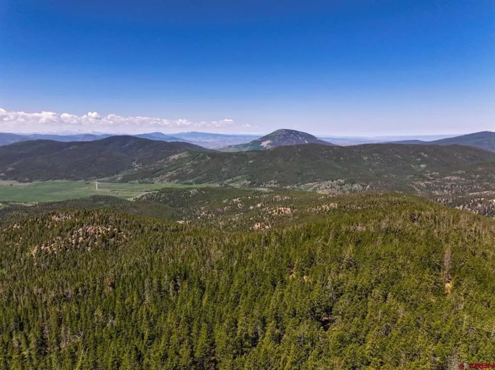 White Pine Upper Tomichi Gunnison, CO 81230