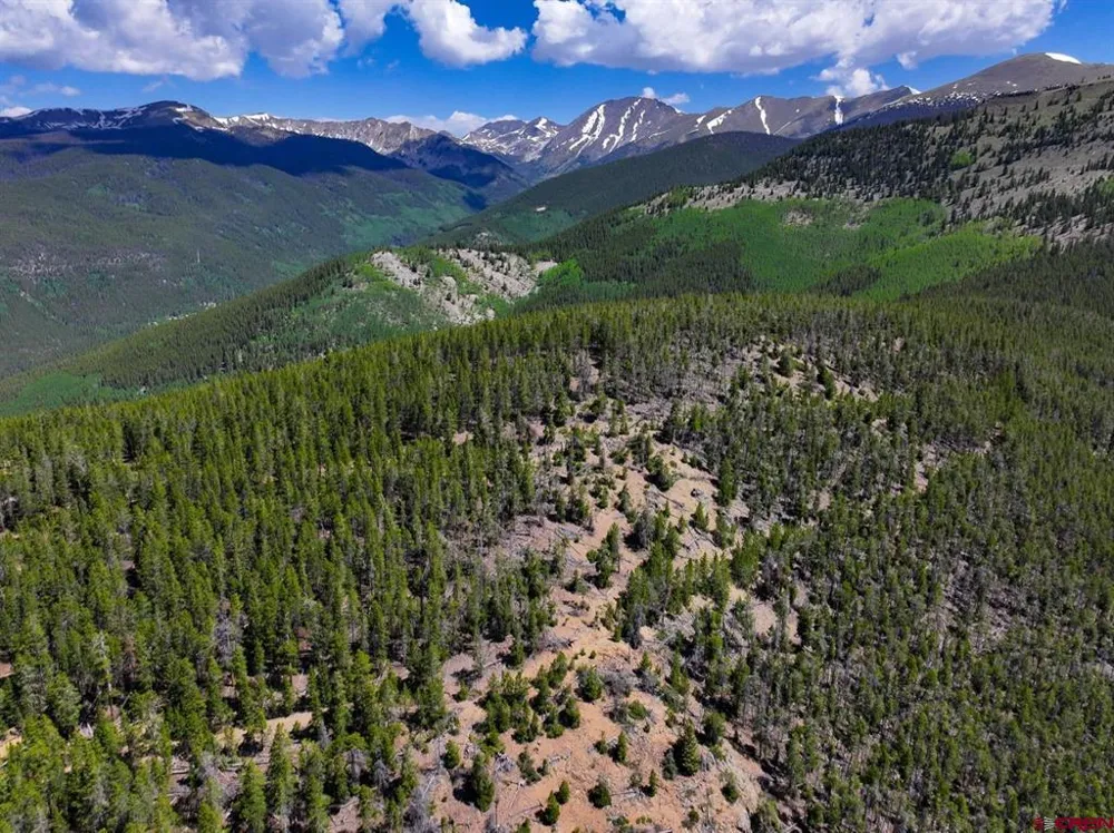 White Pine Upper Tomichi Gunnison, CO 81230