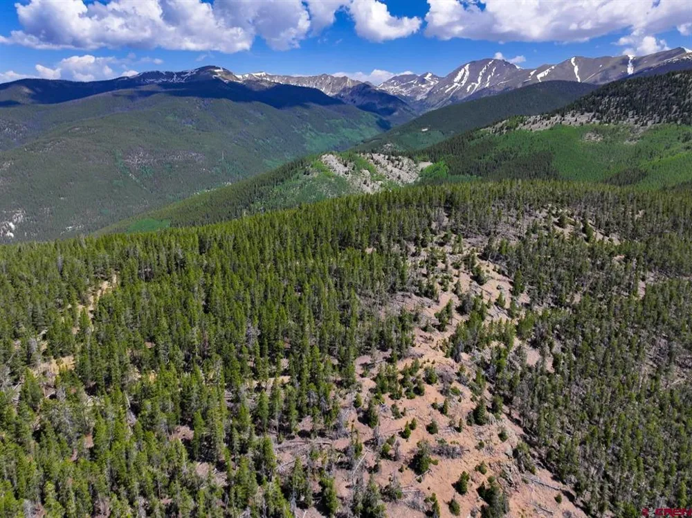 White Pine Upper Tomichi Gunnison, CO 81230