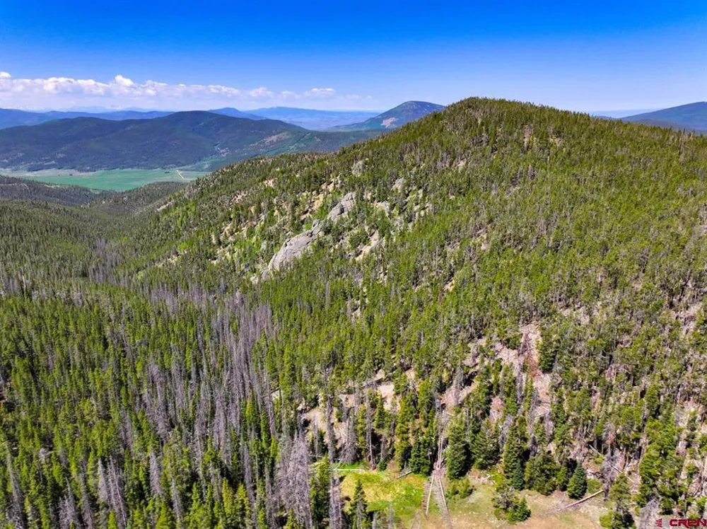 White Pine Upper Tomichi Gunnison, CO 81230