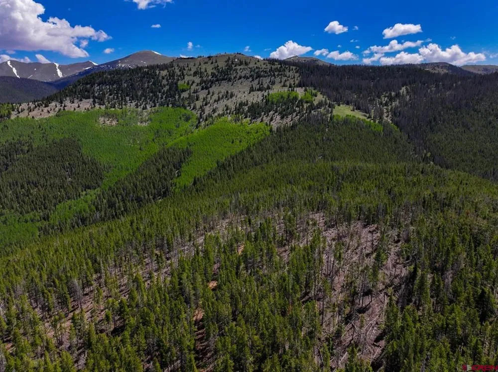 White Pine Upper Tomichi Gunnison, CO 81230