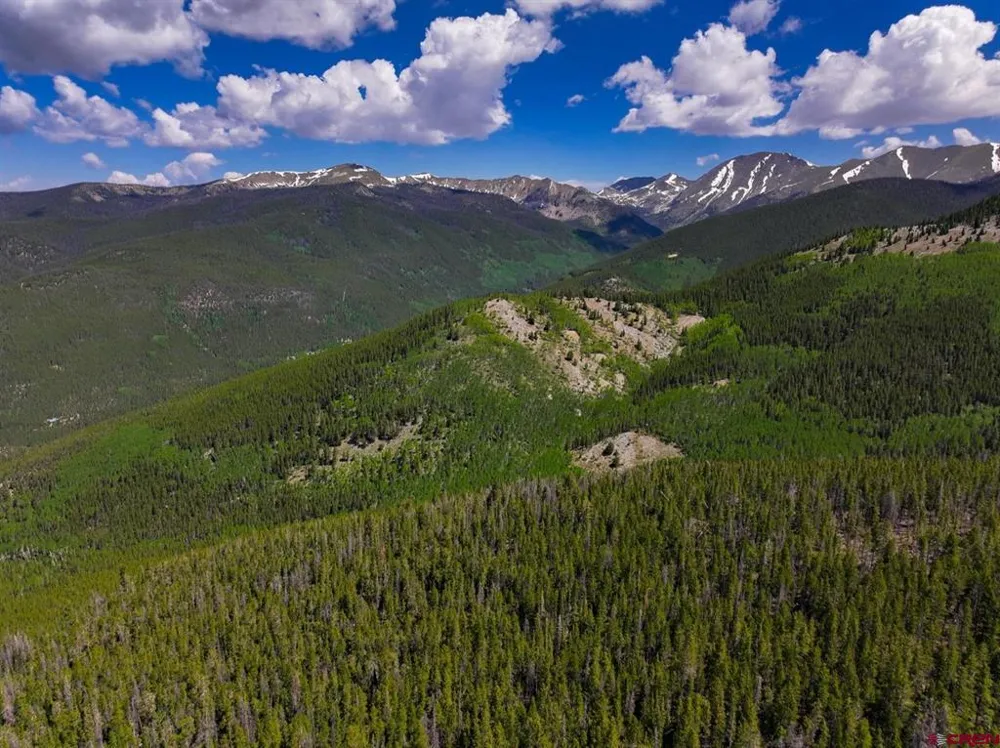 White Pine Upper Tomichi Gunnison, CO 81230